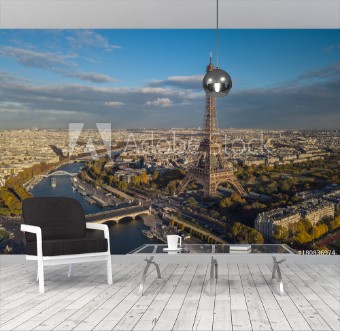 Picture of Cityscape of Paris Aerial view of Eiffel tower
